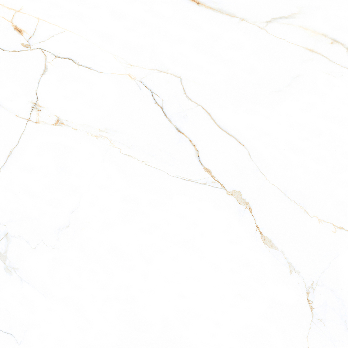 瓷磚加盟,瓷磚招商,現代瓷磚,金達雅瓷磚,景觀(guān)厚磚